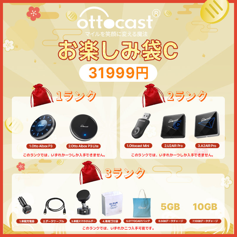 お楽しみ袋C