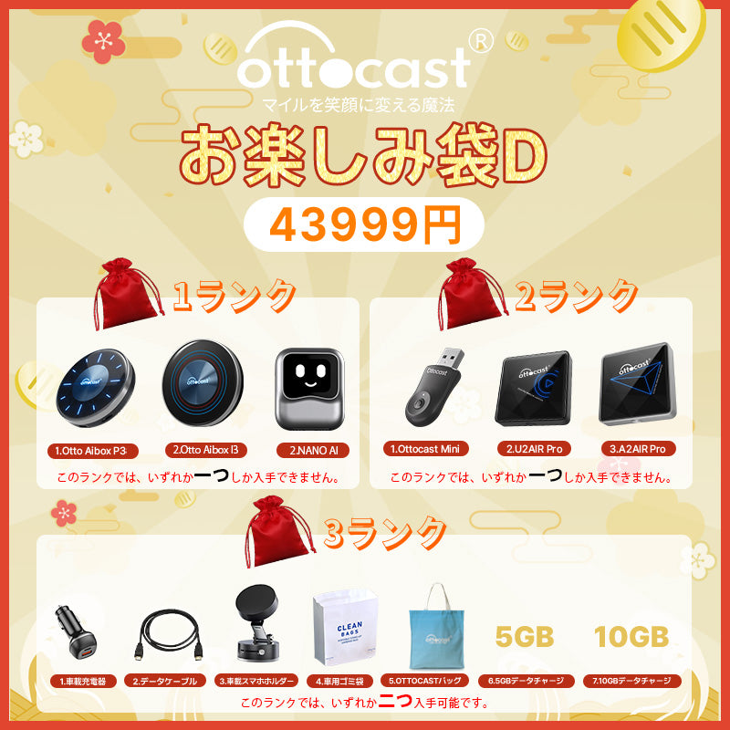 お楽しみ袋D