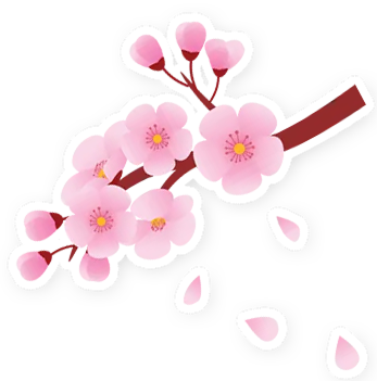 decoration