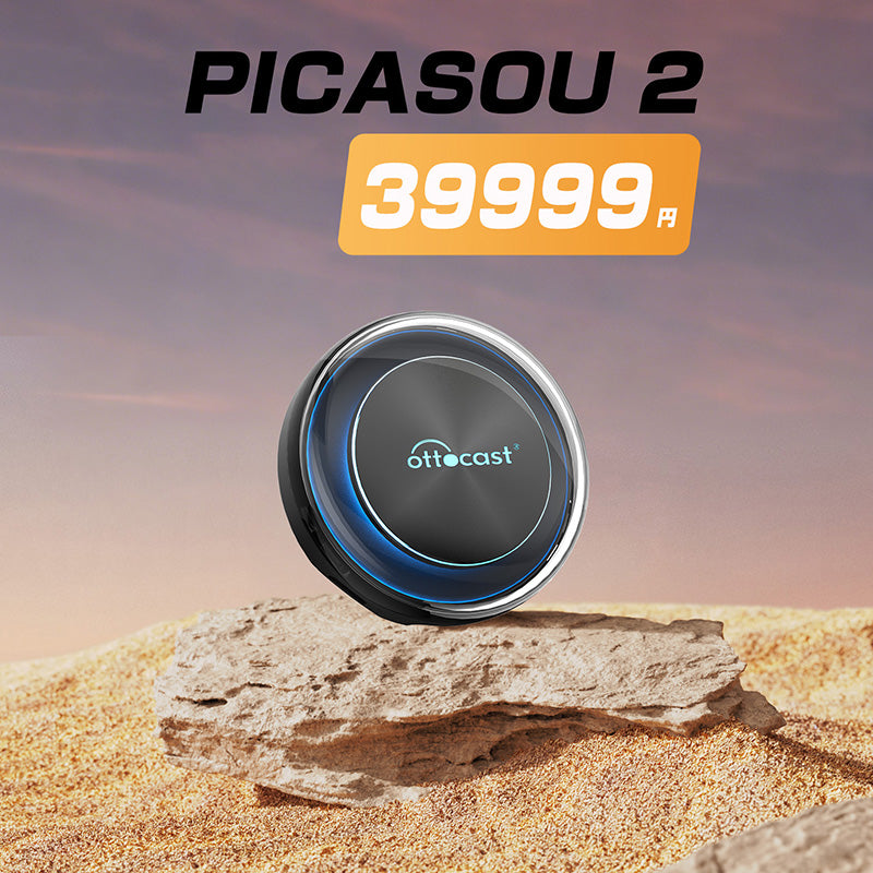 PICASOU 2