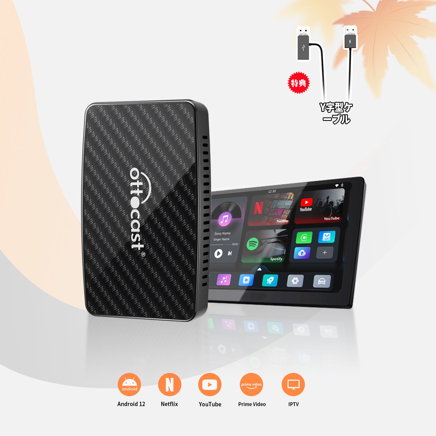 Play2Video PRO